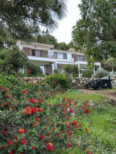 Property Image 38
