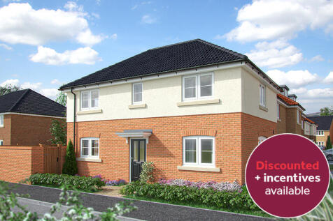 The Sunflower - Summerville Meadows