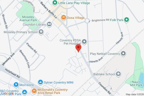 Google Maps Image