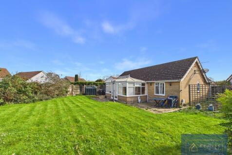 Back Garden