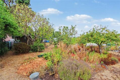 Optional Allotment
