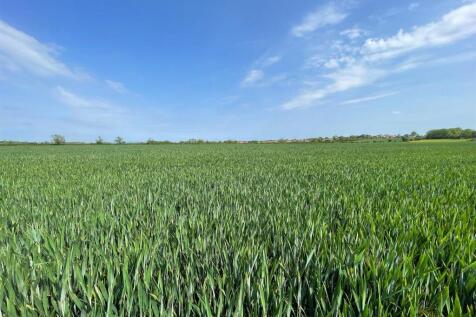 Land for sale Image 4