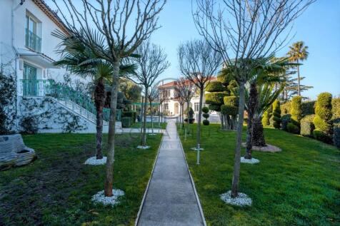 A landscaped garden pathway, flanked by neatly pru