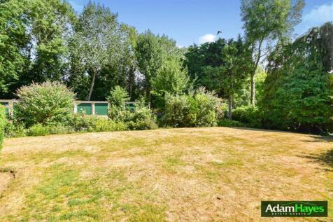 DSC_0591.jpg