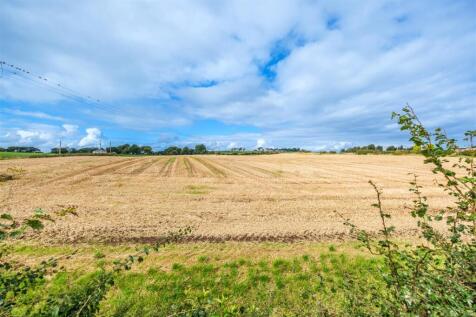 Millar Street-49.jpg