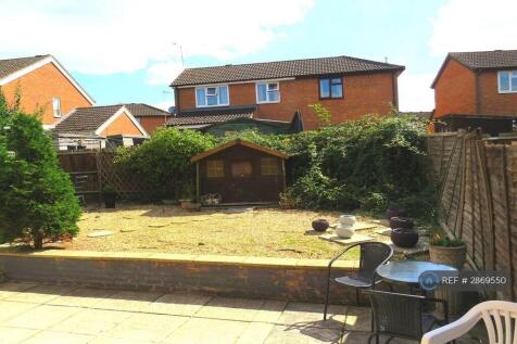 Back Garden