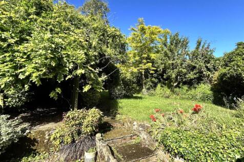 garden.JPG