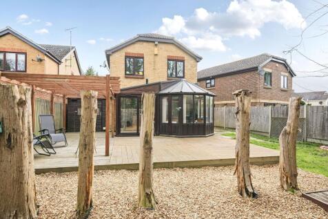 Property Image 16