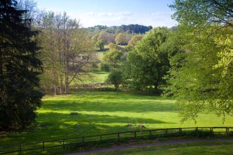 Larger Paddock/View 