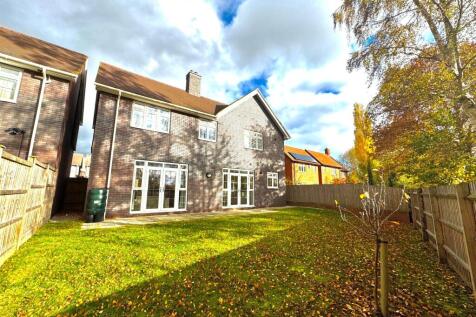 Property Image 43