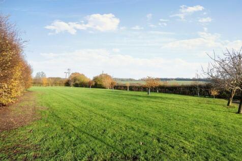 Large Barn Strawberry 6.jpeg