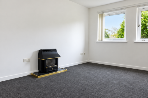 Minimal Living Room with Fireplace and Windows