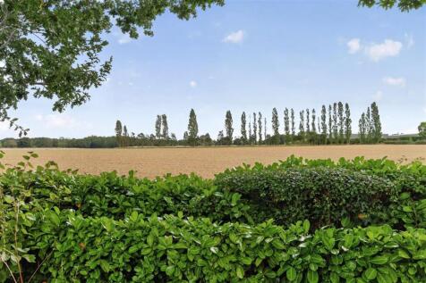 farmland views