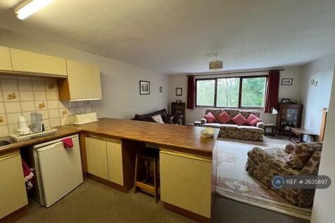 Living Room / Kitchen