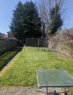 IMG_0617.jpeg