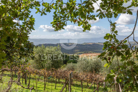 Panorama e Particolari