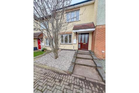 24 Ballellis (4).jpg