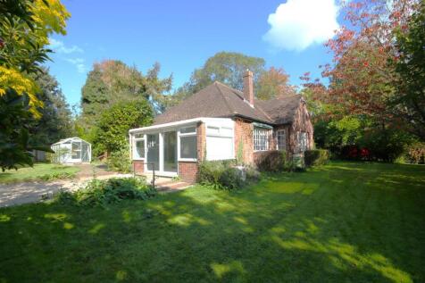 Rear of Property.JPG