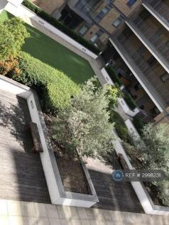 Courtyard Garden