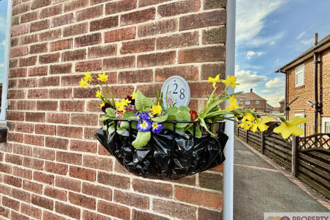 Image 29