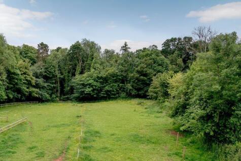 Field