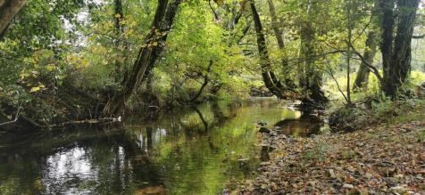 River Meavy