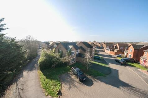 Elevated Photos