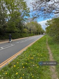 Putney Heath