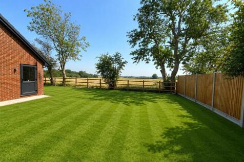 garden 2.jpg