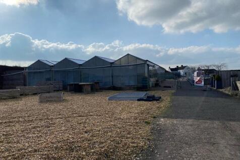 PHOTO20240306154633 20240315 17_24_26 1.jpg