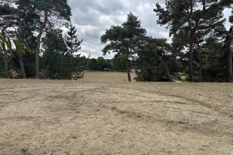 Surrounding Photos