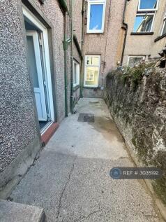 Rear Yard