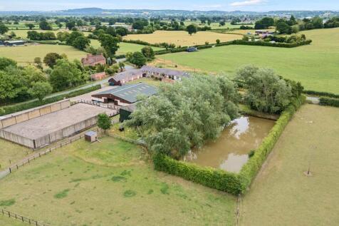 -6880ad08ef29c-l-1325221 D (6).jpg