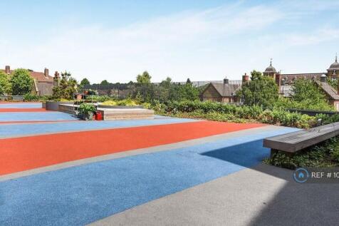 Roof Terrace Garden