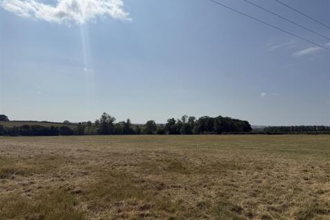 IMG_3825.jpeg