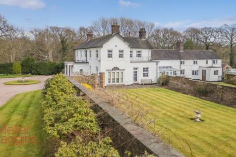 20250321-20250321-DJI_0171-Edit (2).jpg