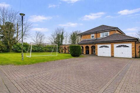 Property Image 41
