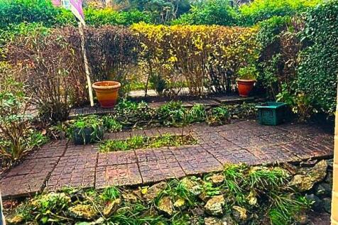 Clients pic front garden.jpg