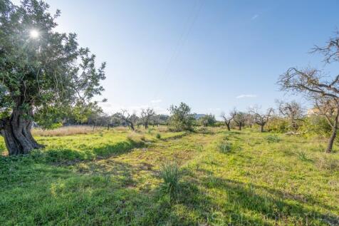 Land with license to build