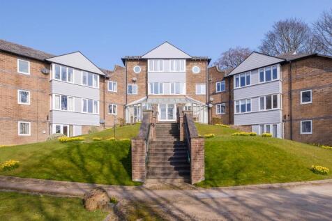 untitled (1 of 18).jpg