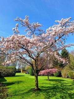 WhatsApp Image 2025-05-28 at 11.26.09_e24ab859.jpg