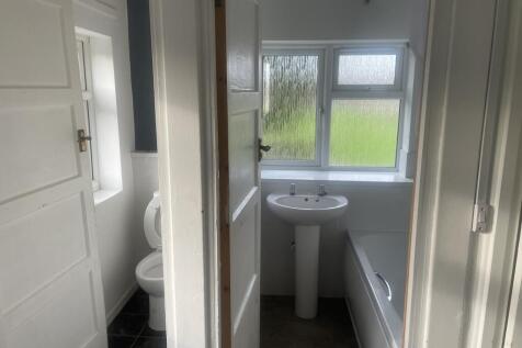 IMG 5739 T202601142108.jpeg