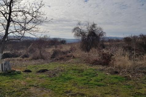 A large open piece of rural land featuring scattered leafless trees and patches of green grass under a cloudy sky.