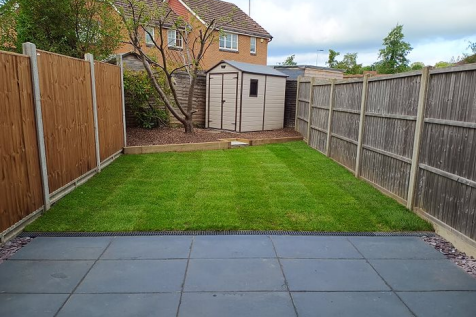 Backgarden 8 Roby 2