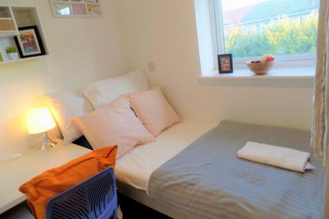 Bright, neatly styled single bedroom with a com...