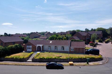 dji_fly_20250704_130836_490_1751630973363_photo_op