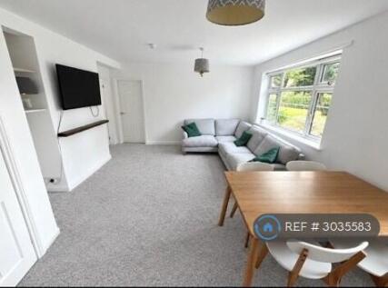 Ai* New Carpet Next Week