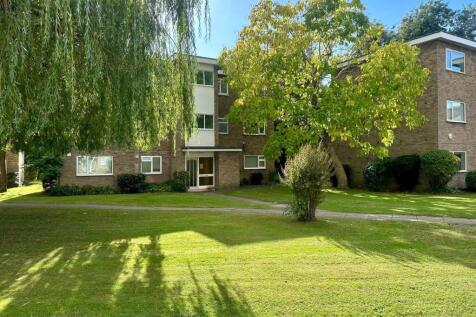 WhatsApp Image 2025-09-25 at 16.47.54_bc60b332.jpg