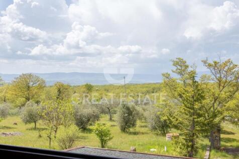 Panorama e Particolari