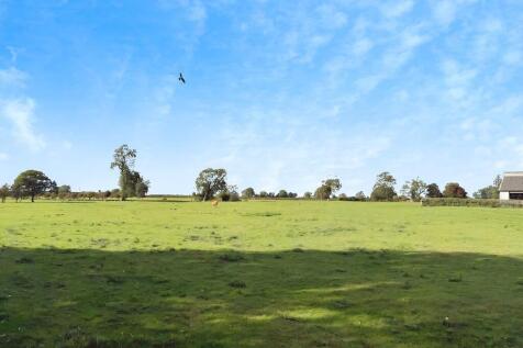 4b49d159-WhatsApp...